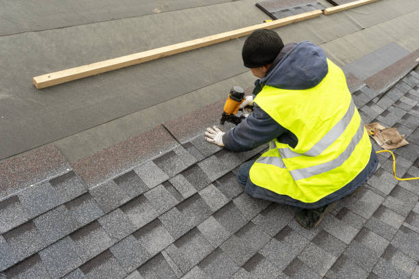 Best Green or Eco-Friendly Roofing Solutions  in Orange City, FL