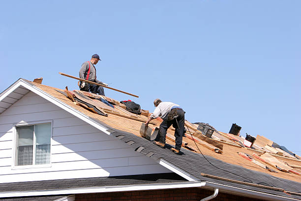 Best Rubber Roofing (EPDM, TPO)  in Orange City, FL